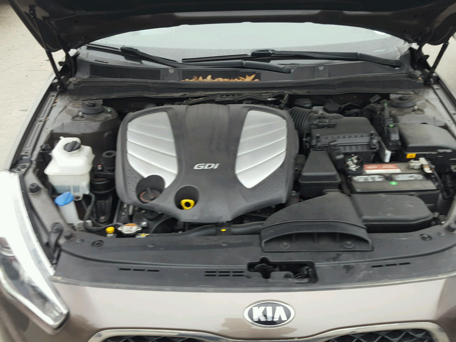 Photo 7 from auction – 2015 KIA CADENZA PR with VIN KNALN4D77F5175982