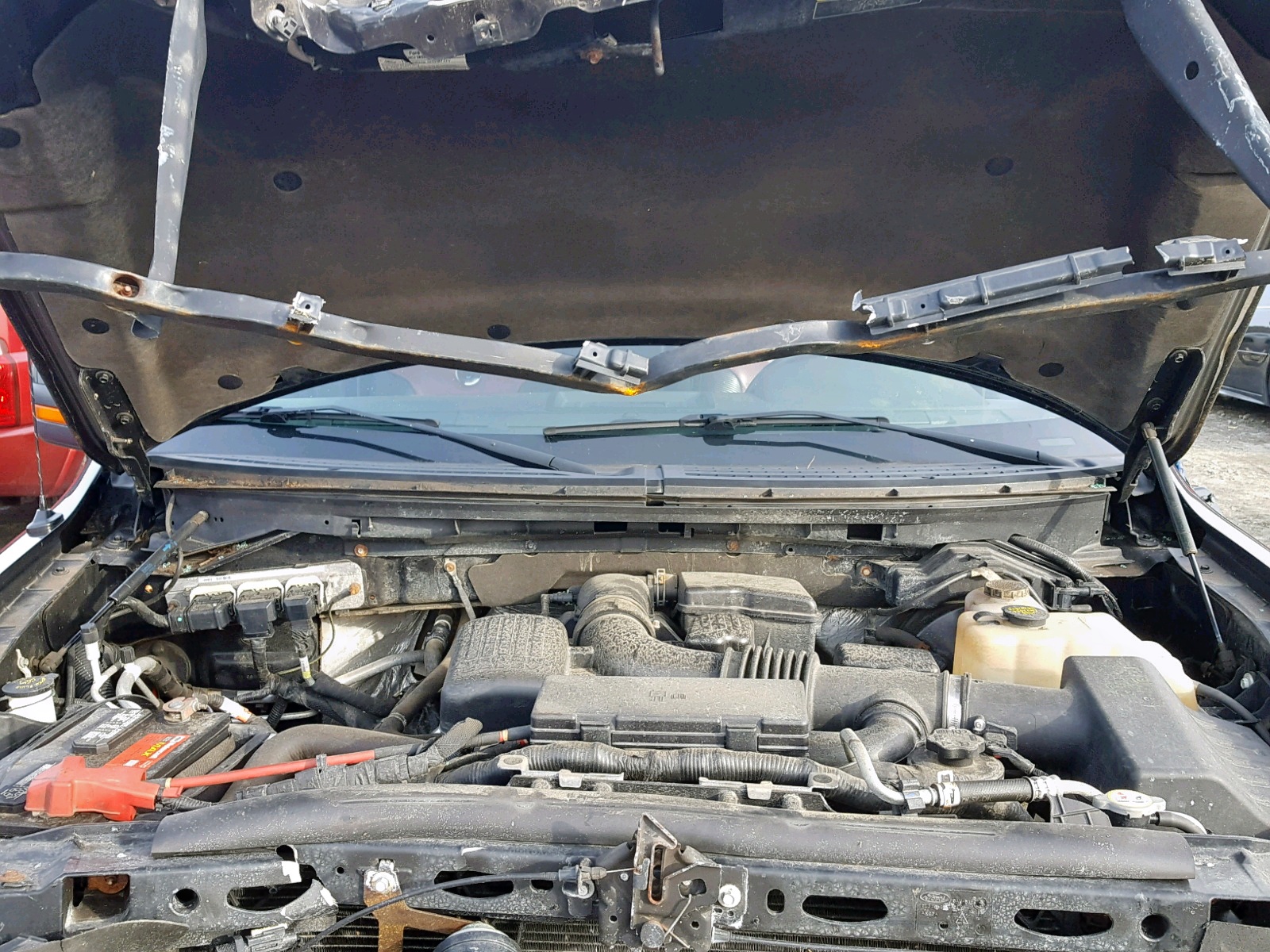 Photo 7 from auction – 2010 FORD F150 SUPER with VIN 1FTFW1EV5AFB33094