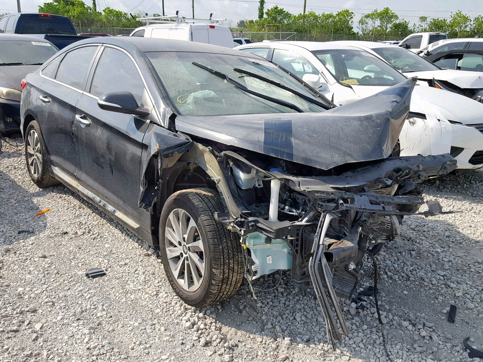 HYUNDAI SONATA SPO 2015 with VIN 5NPE34AF9FH053282 - Photo from auction