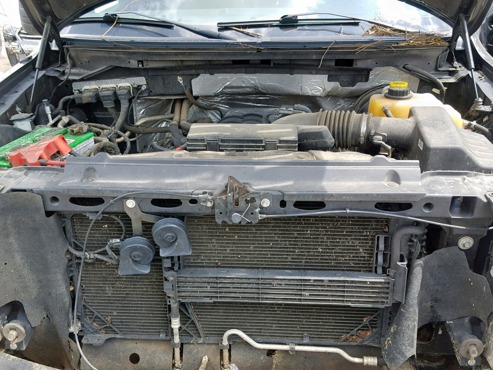 Photo 7 from auction – 2014 FORD F150 SUPER with VIN 1FTFW1CF0EFC60885