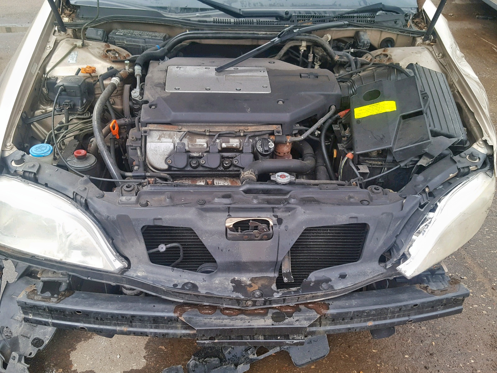 Photo 7 from auction – 2001 ACURA 3.2TL with VIN 19UUA56671A016362