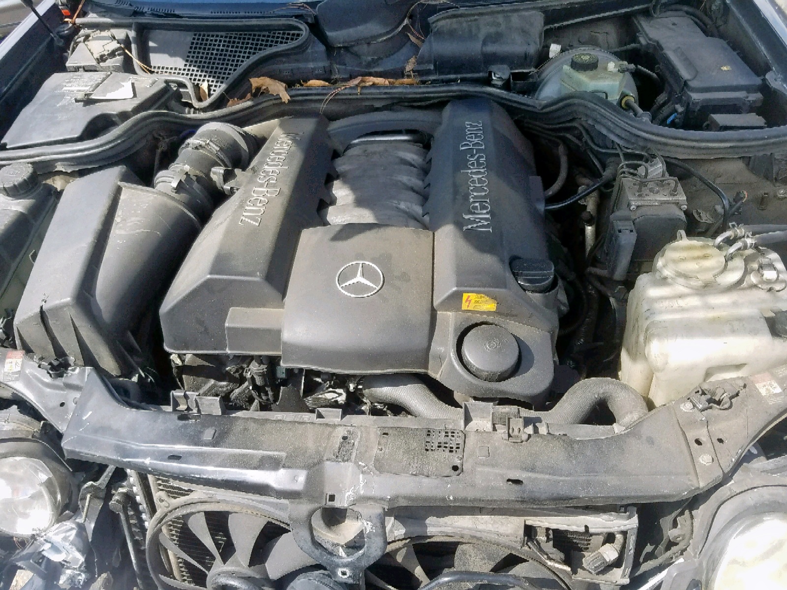 Photo 7 from auction – 1999 MERCEDES-BENZ E 430 with VIN WDBJF70H1XA764475