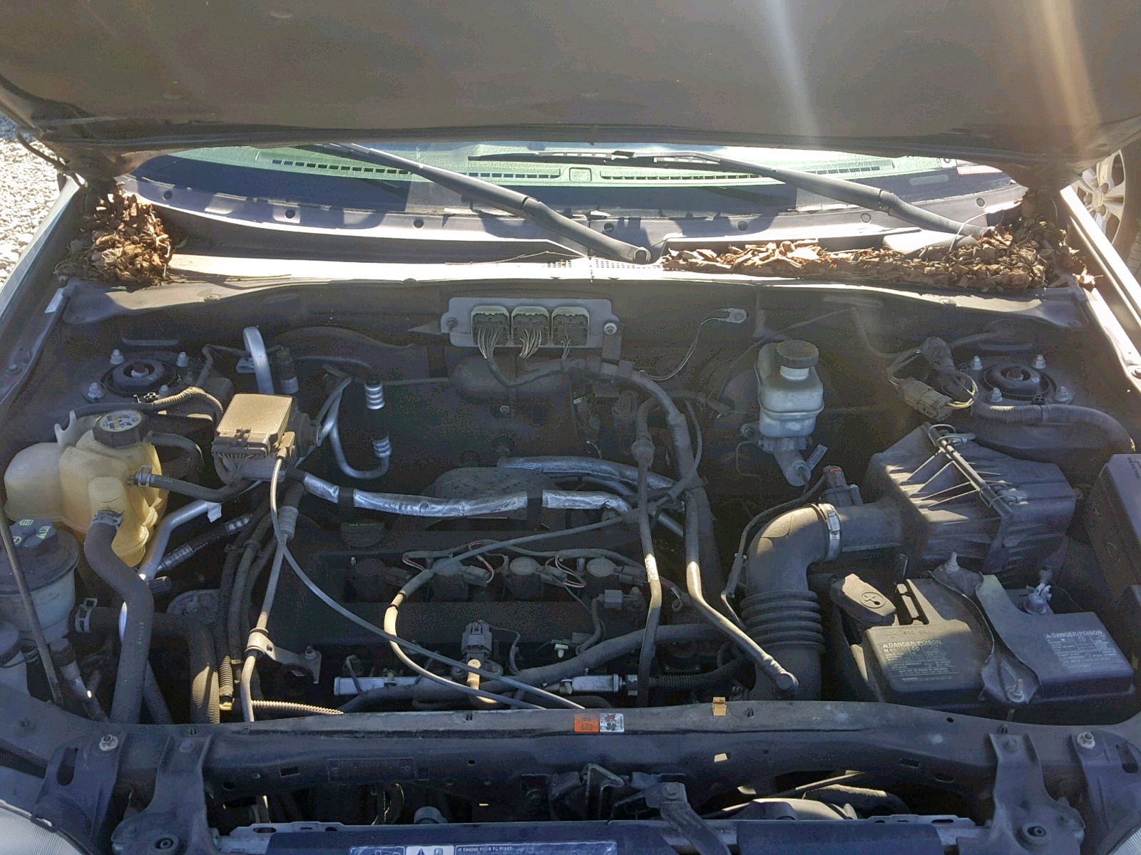 Photo 7 from auction – 2007 FORD ESCAPE XLS with VIN 1FMYU02Z17KA07407