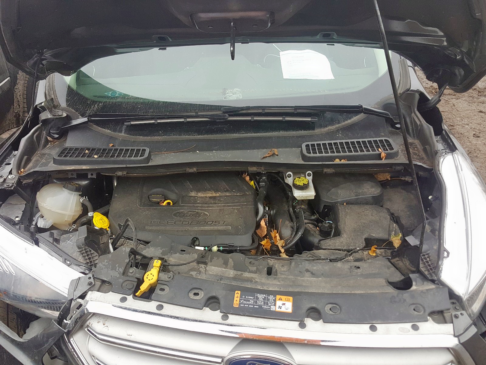 Photo 7 from auction – 2018 FORD ESCAPE SE with VIN 1FMCU9GD4JUB82757