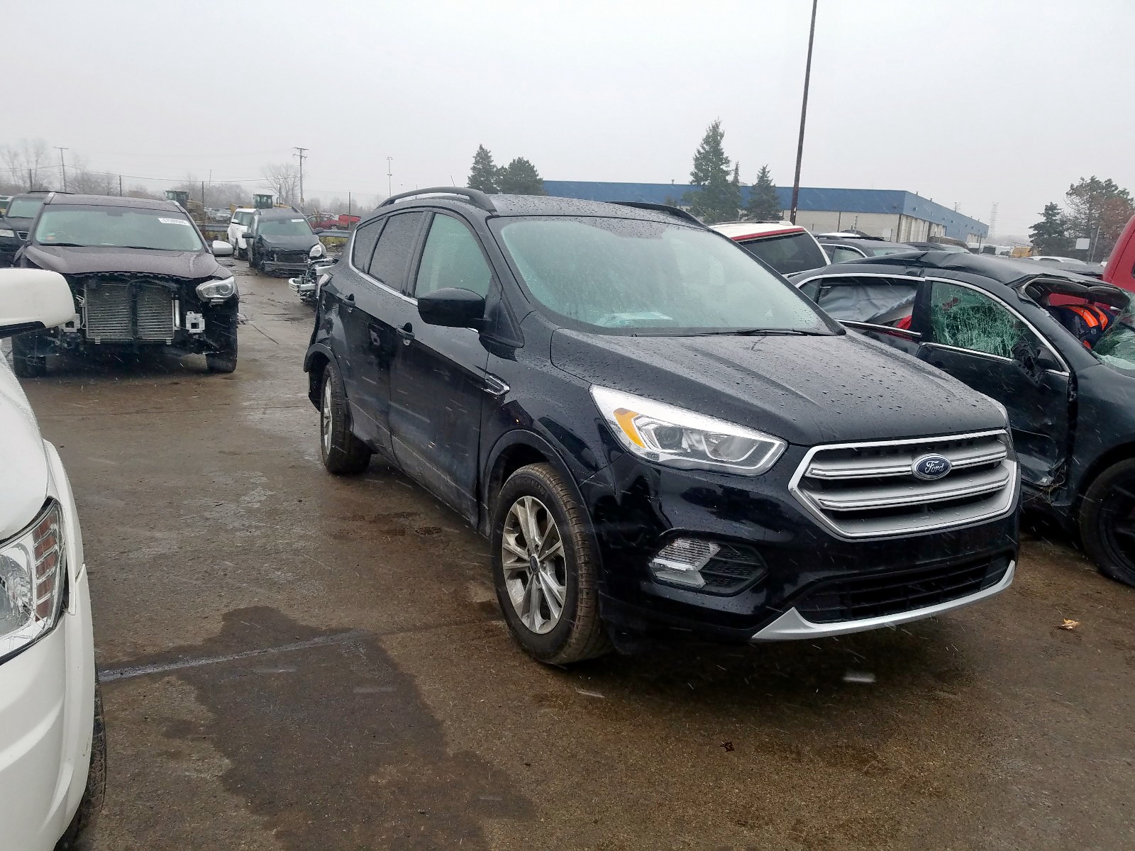 FORD ESCAPE SE 2017 with VIN 1FMCU0GDXHUE92546 - Photo from auction