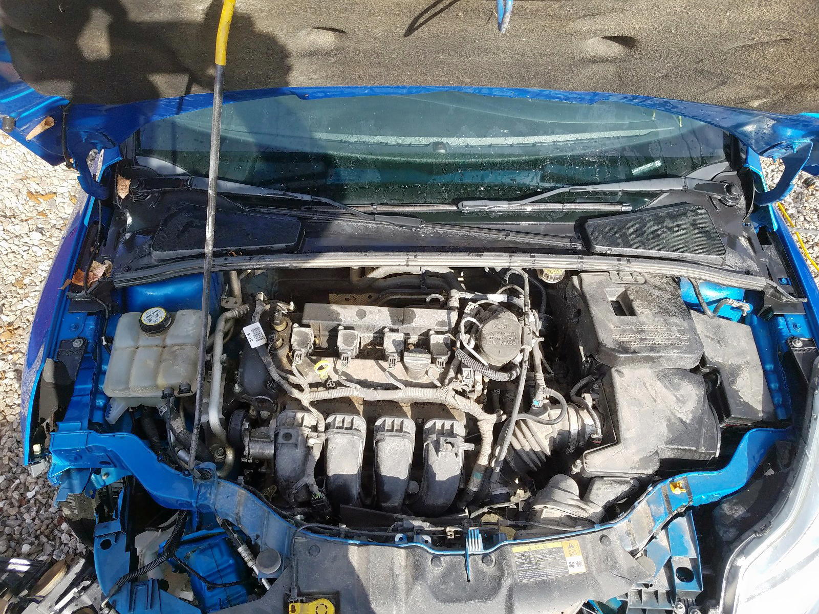Photo 7 from auction – 2012 FORD FOCUS SE with VIN 1FAHP3F20CL150871