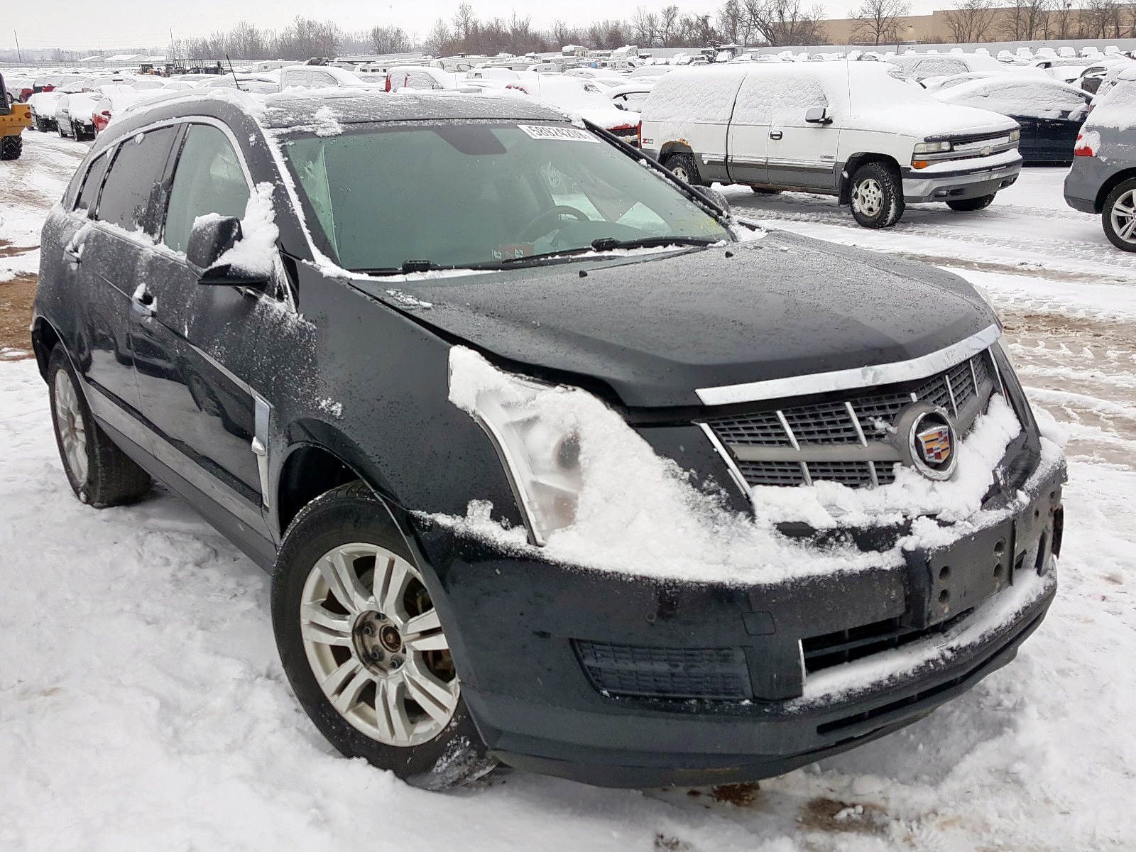 CADILLAC SRX LUXURY 2011 with VIN 3GYFNAEY9BS567913 - Photo from auction