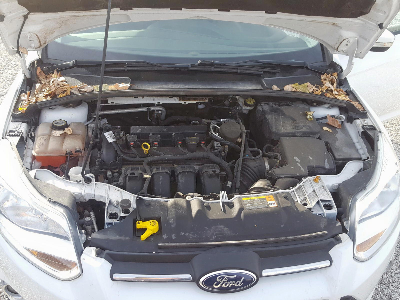 Photo 7 from auction – 2013 FORD FOCUS SE with VIN 1FADP3K28DL169139