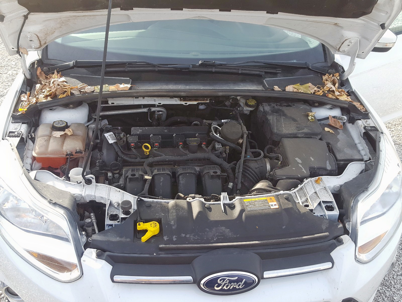 Zdjęcie 7 z aukcji – 2013 FORD FOCUS SE z VIN 1FADP3K28DL169139
