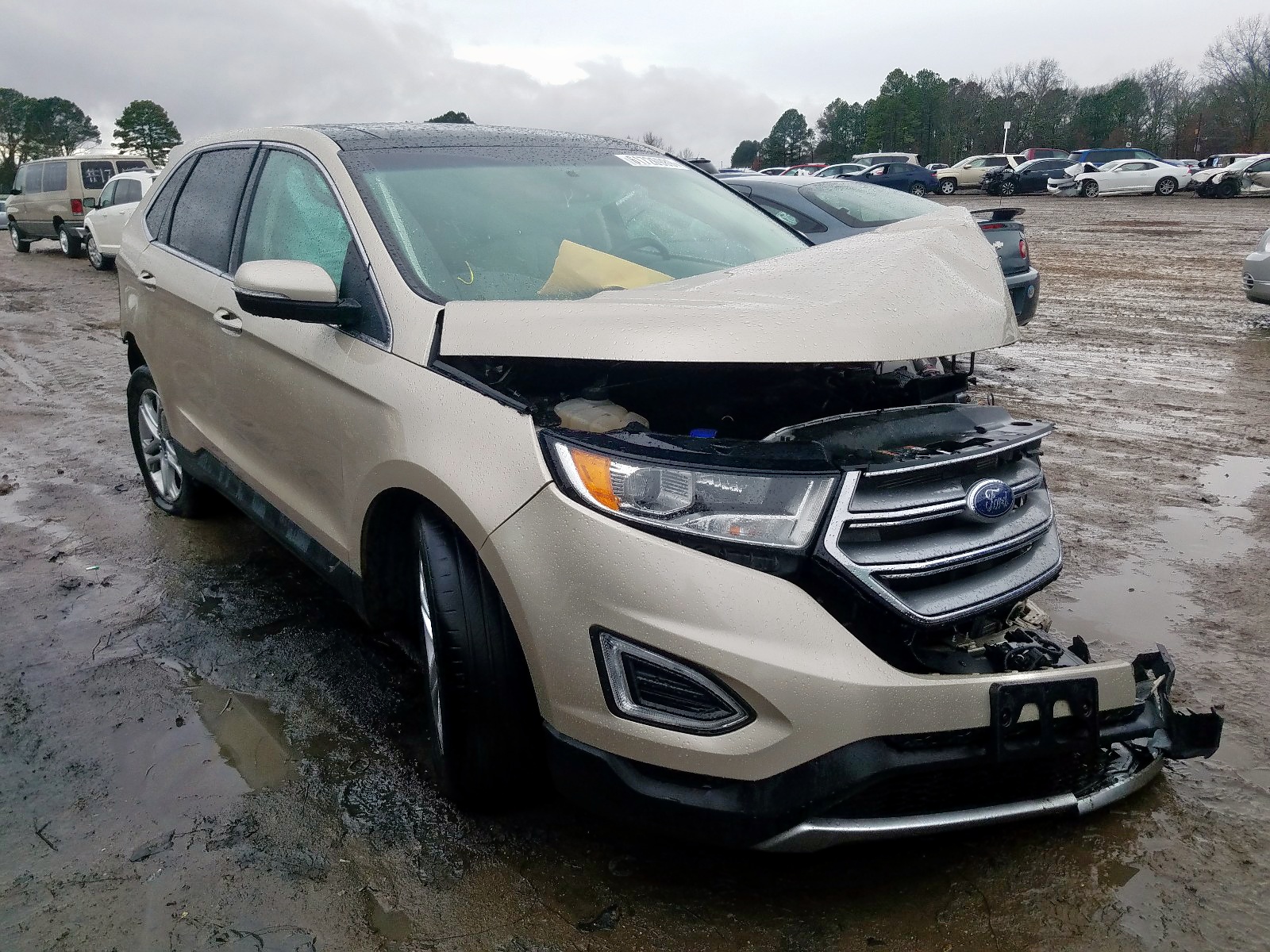 FORD EDGE TITAN 2017 with VIN 2FMPK4K94HBC13051 - Photo from auction