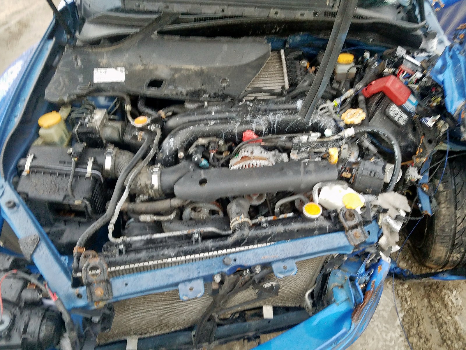 Photo 7 from auction – 2014 SUBARU IMPREZA WR with VIN JF1GV7E66EG008369