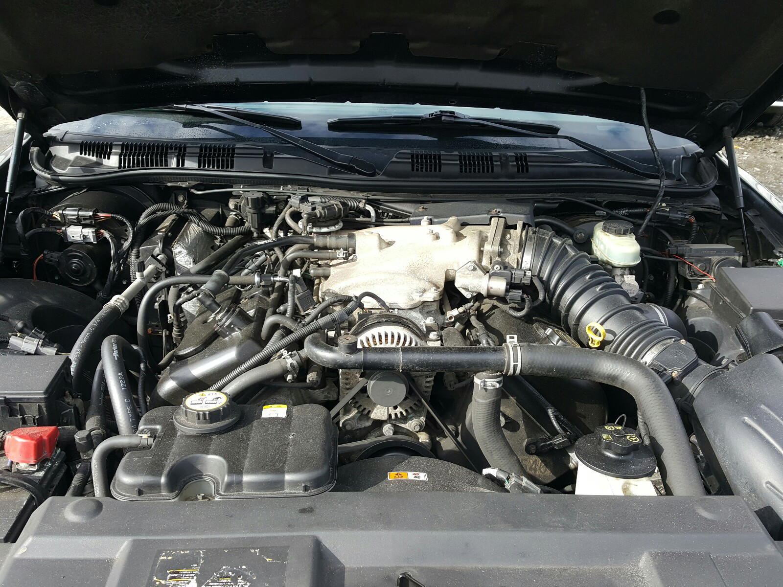 Photo 7 from auction – 2003 MERCURY MARAUDER with VIN 2MEHM75V93X610150