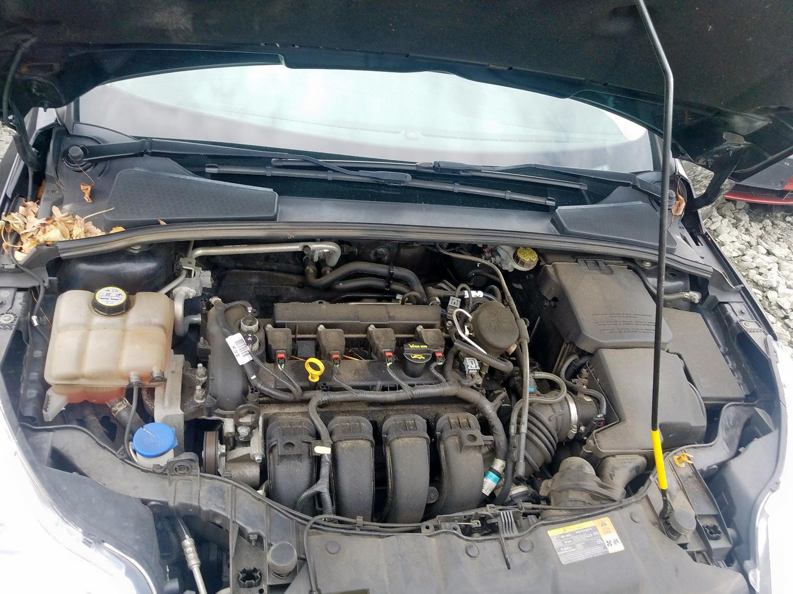 Photo 7 from auction – 2013 FORD FOCUS SE with VIN 1FADP3F29DL162386