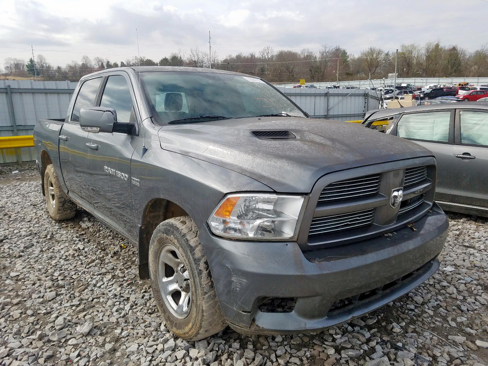 DODGE RAM 1500 2011 with VIN 1D7RV1CT2BS675396 - Photo from auction