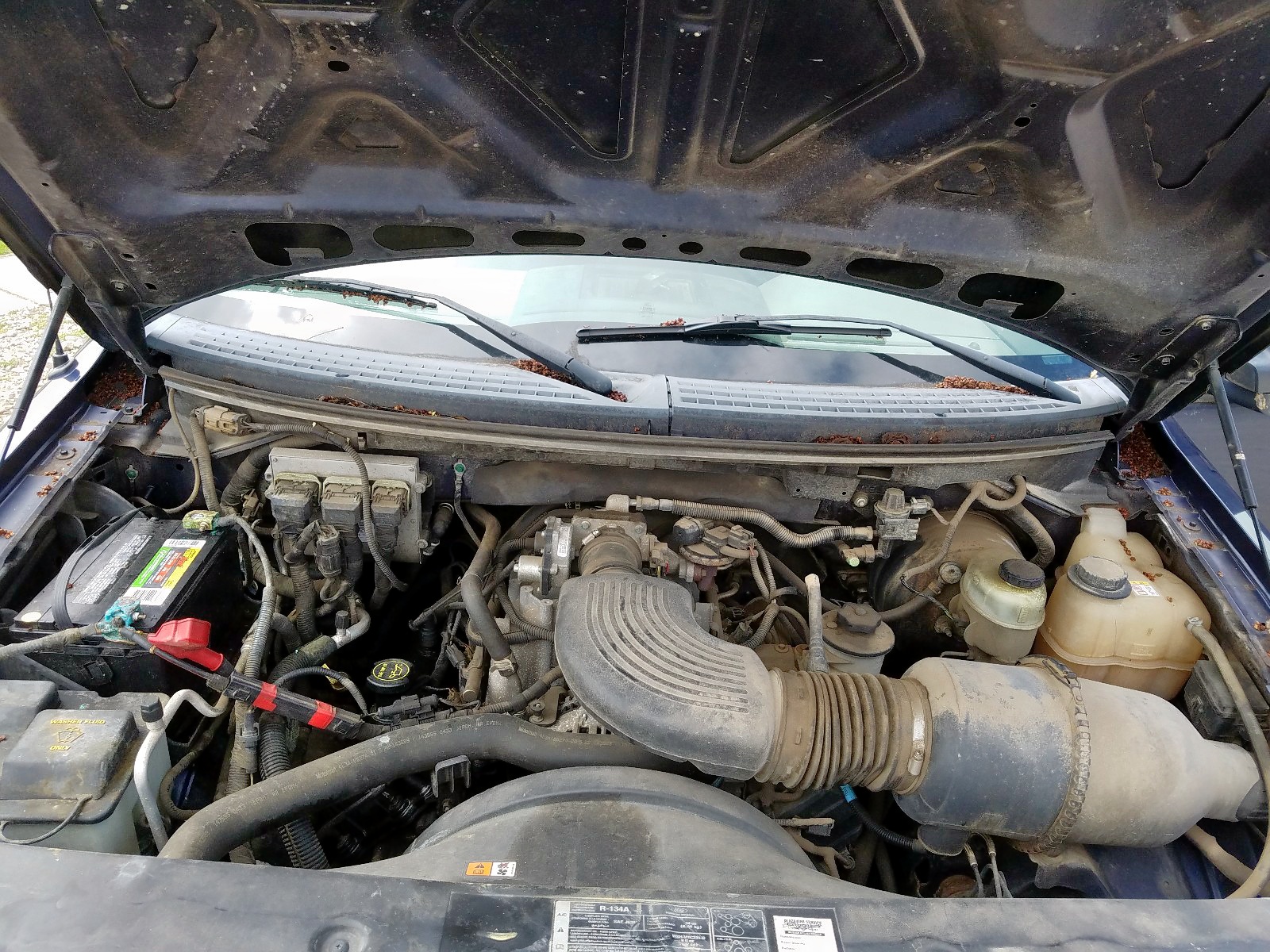 Zdjęcie 7 z aukcji – 2005 FORD F150 z VIN 1FTRX12W85NB87198