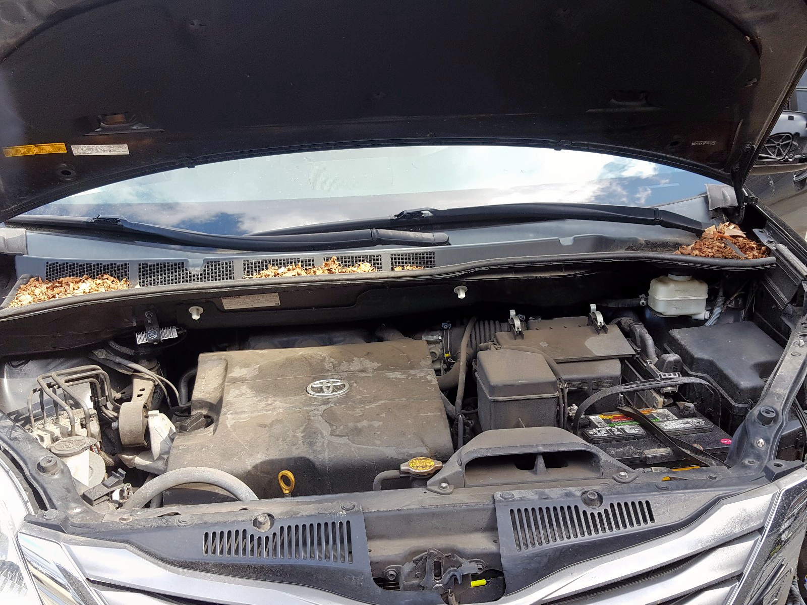 Photo 7 from auction – 2011 TOYOTA SIENNA XLE with VIN 5TDDK3DC4BS002304