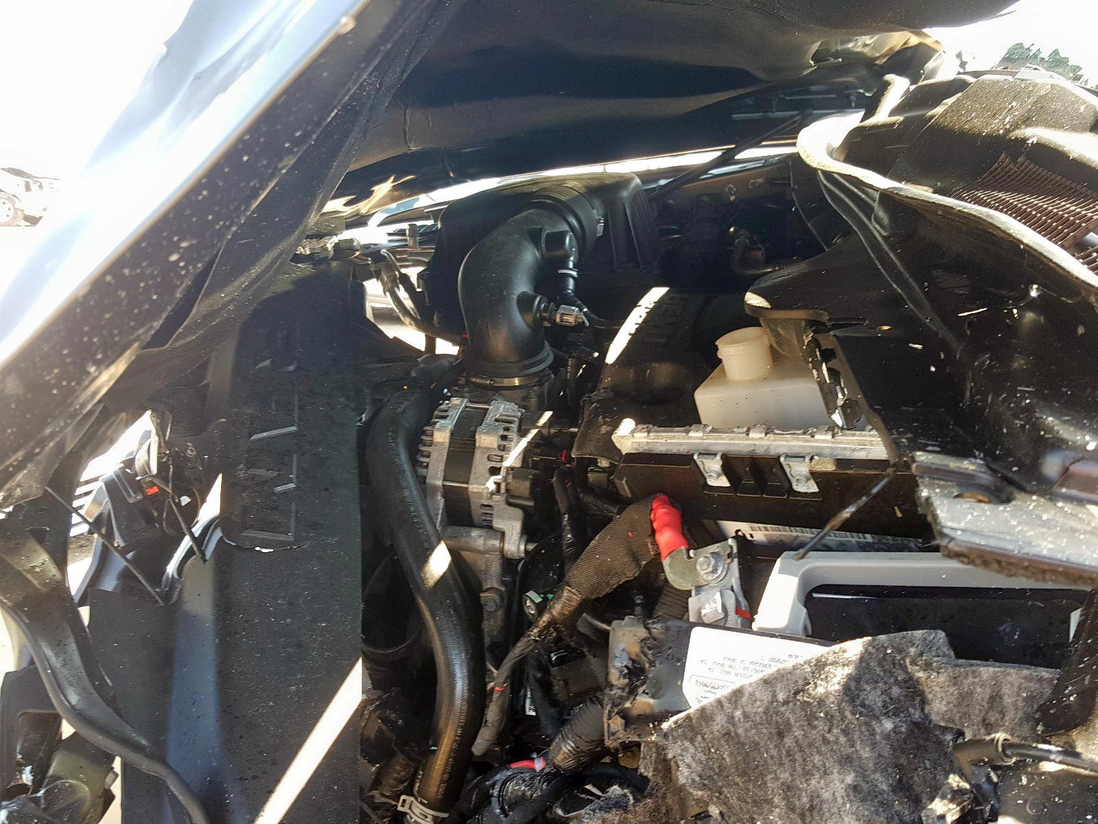 Photo 7 from auction – 2020 RAM 1500 BIG H with VIN 1C6SRFFT1LN216604