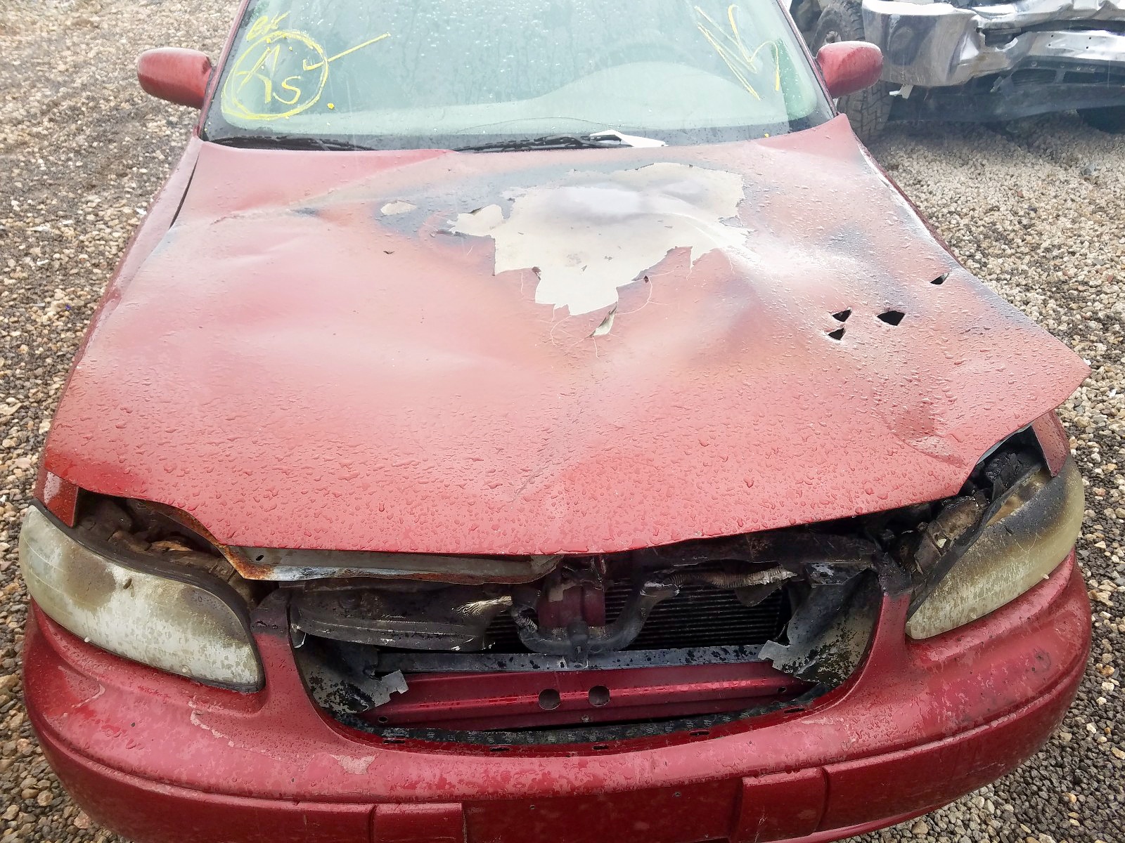 Photo 9 from auction – 2002 CHEVROLET MALIBU LS with VIN 1G1NE52J82M559391
