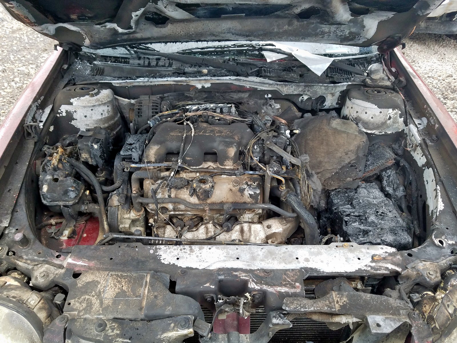 Photo 7 from auction – 2002 CHEVROLET MALIBU LS with VIN 1G1NE52J82M559391