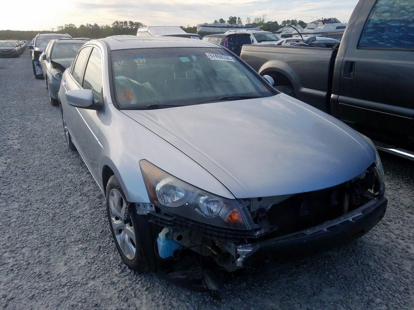 HONDA ACCORD EXL 2009 with VIN 5KBCP36889B501595 - Photo from auction