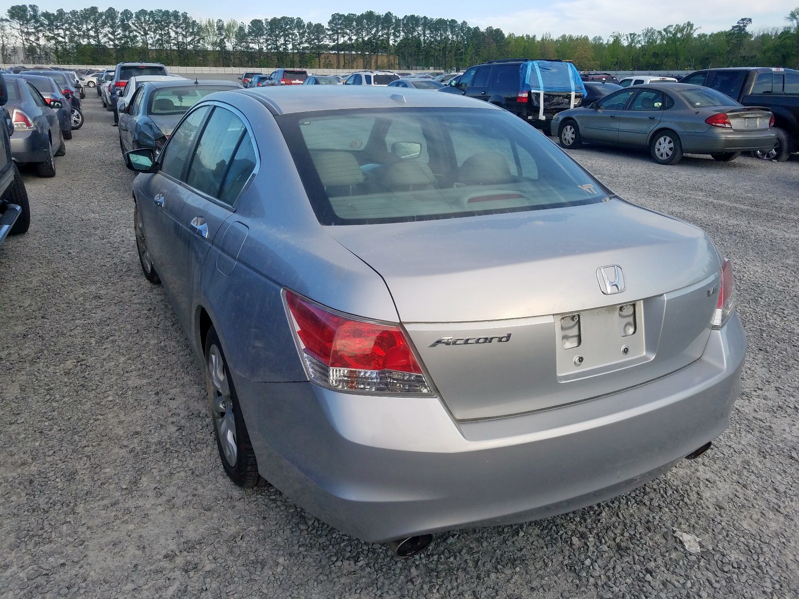 Photo 3 from auction – 2009 HONDA ACCORD EXL with VIN 5KBCP36889B501595