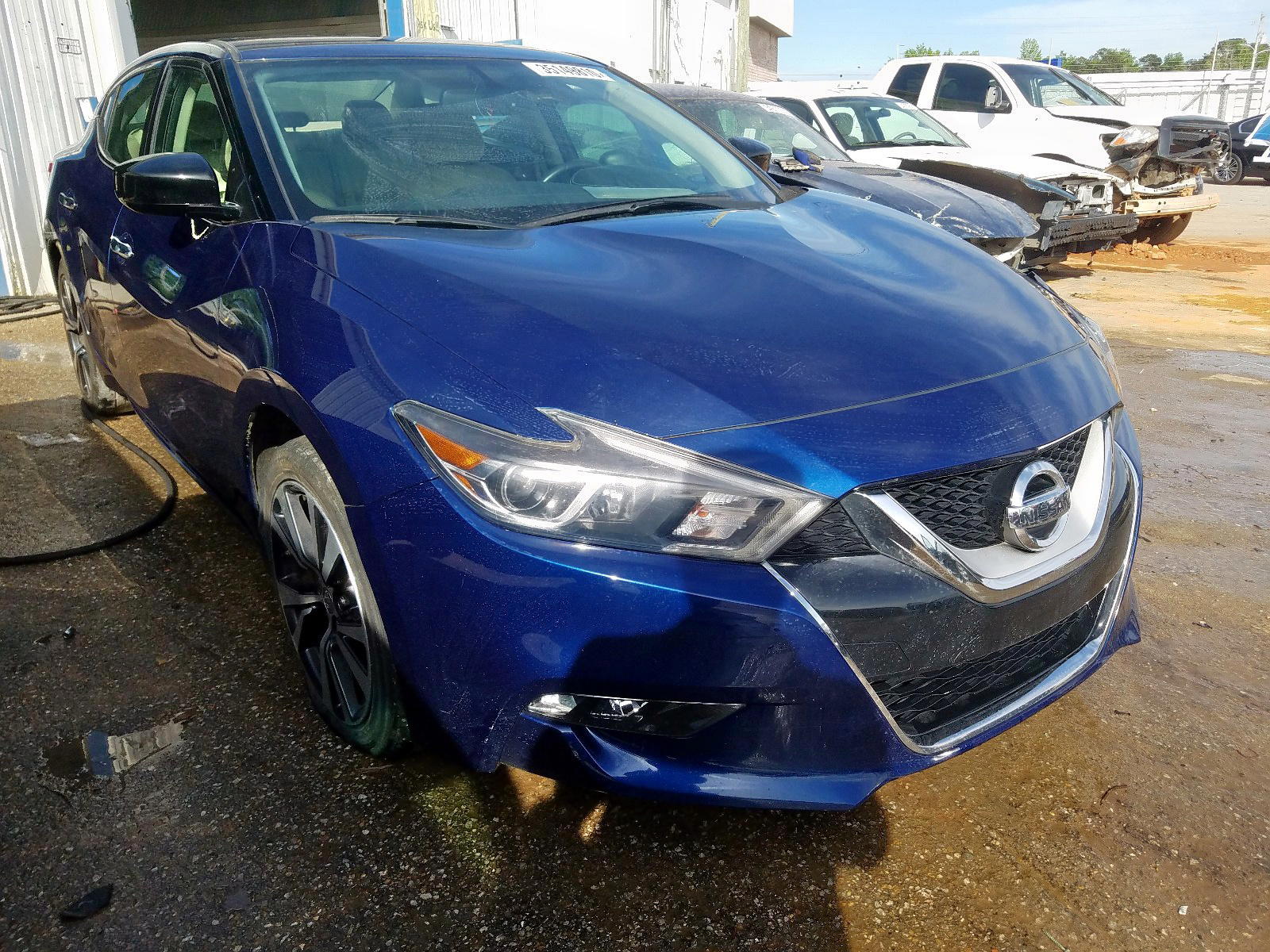 NISSAN MAXIMA 3.5 2017 with VIN 1N4AA6AP5HC375902 - Photo from auction