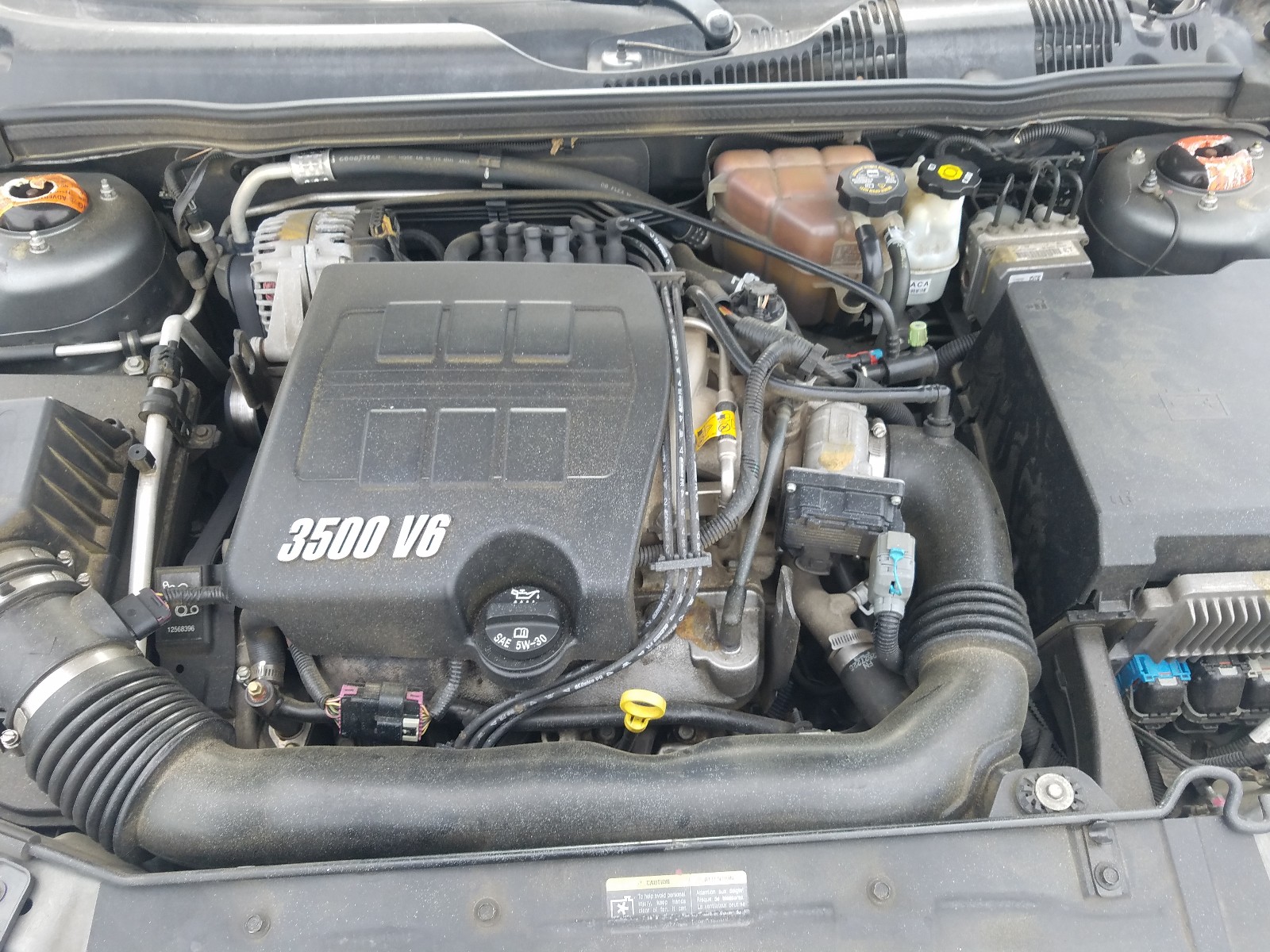 Photo 7 from auction – 2005 CHEVROLET MALIBU MAX with VIN 1G1ZT62895F262536