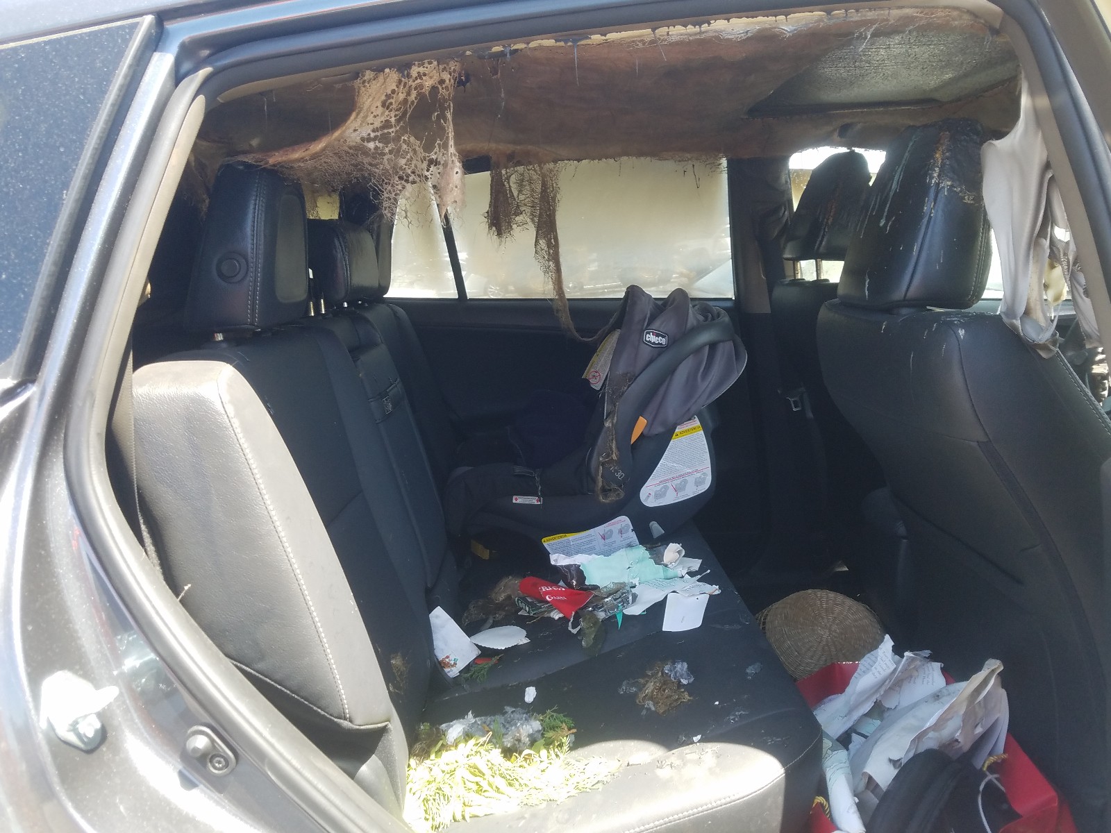 Photo 6 from auction – 2018 TOYOTA RAV4 HV LI with VIN JTMDJREV0JD249237