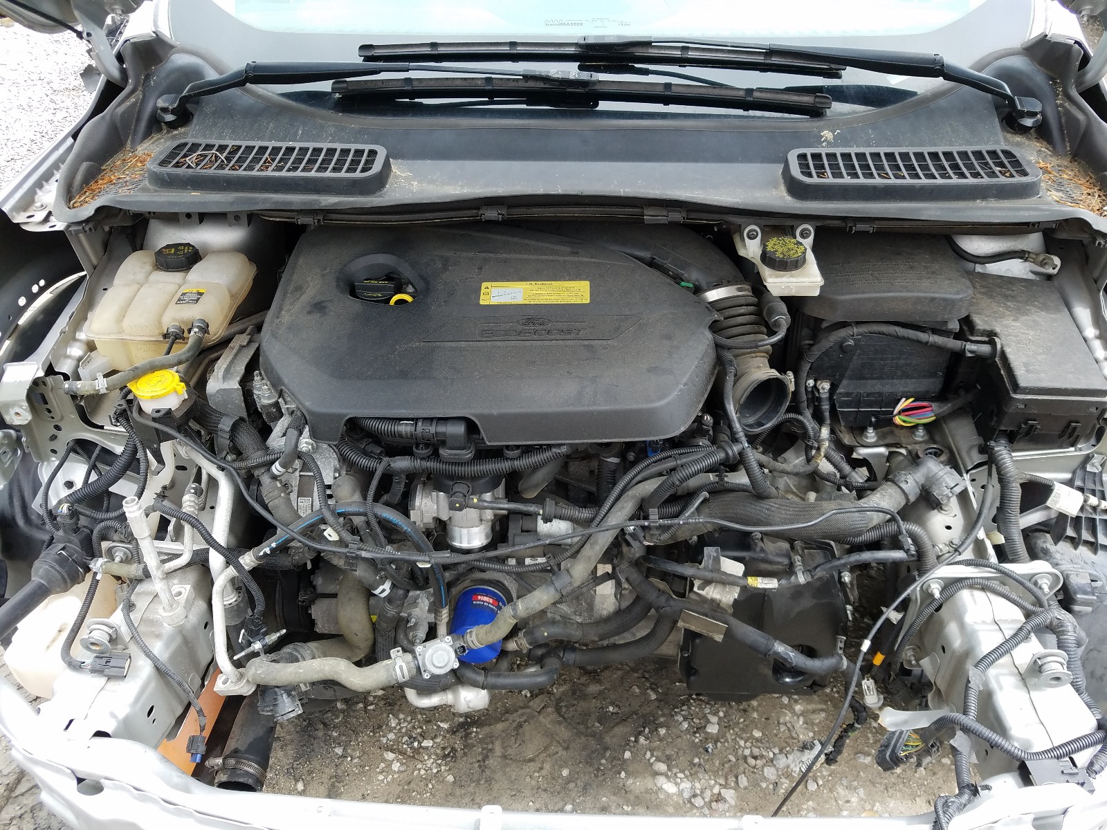 Photo 7 from auction – 2013 FORD ESCAPE SE with VIN 1FMCU0GX7DUB52744
