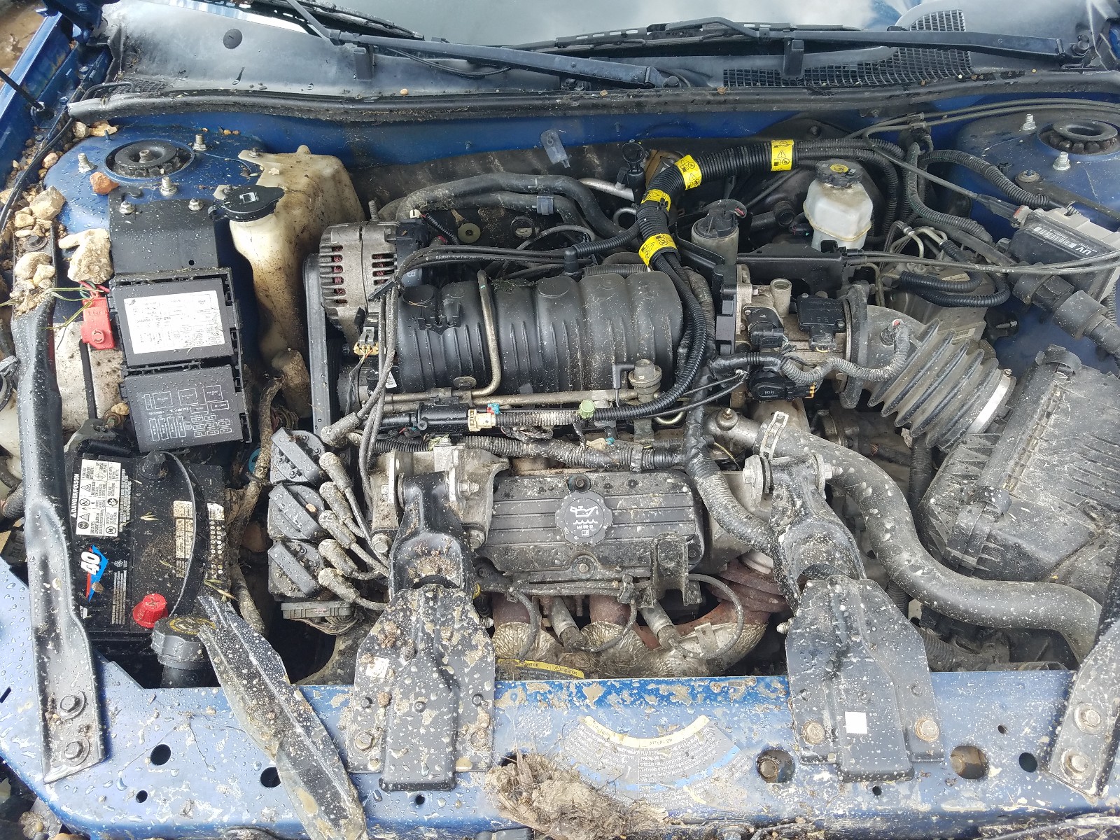 Photo 7 from auction – 2004 CHEVROLET IMPALA LS with VIN 2G1WH52KX49221544