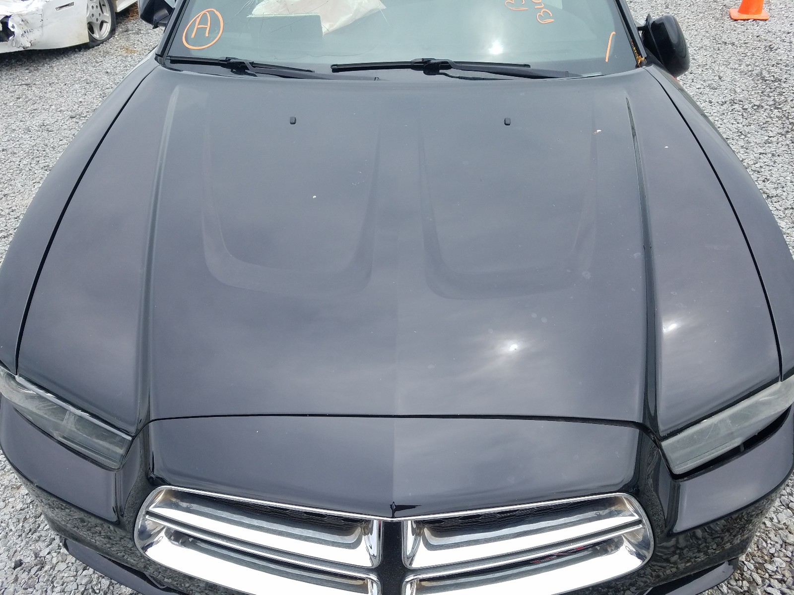 Zdjęcie 7 z aukcji – 2013 DODGE CHARGER R/ z VIN 2C3CDXCT4DH555412