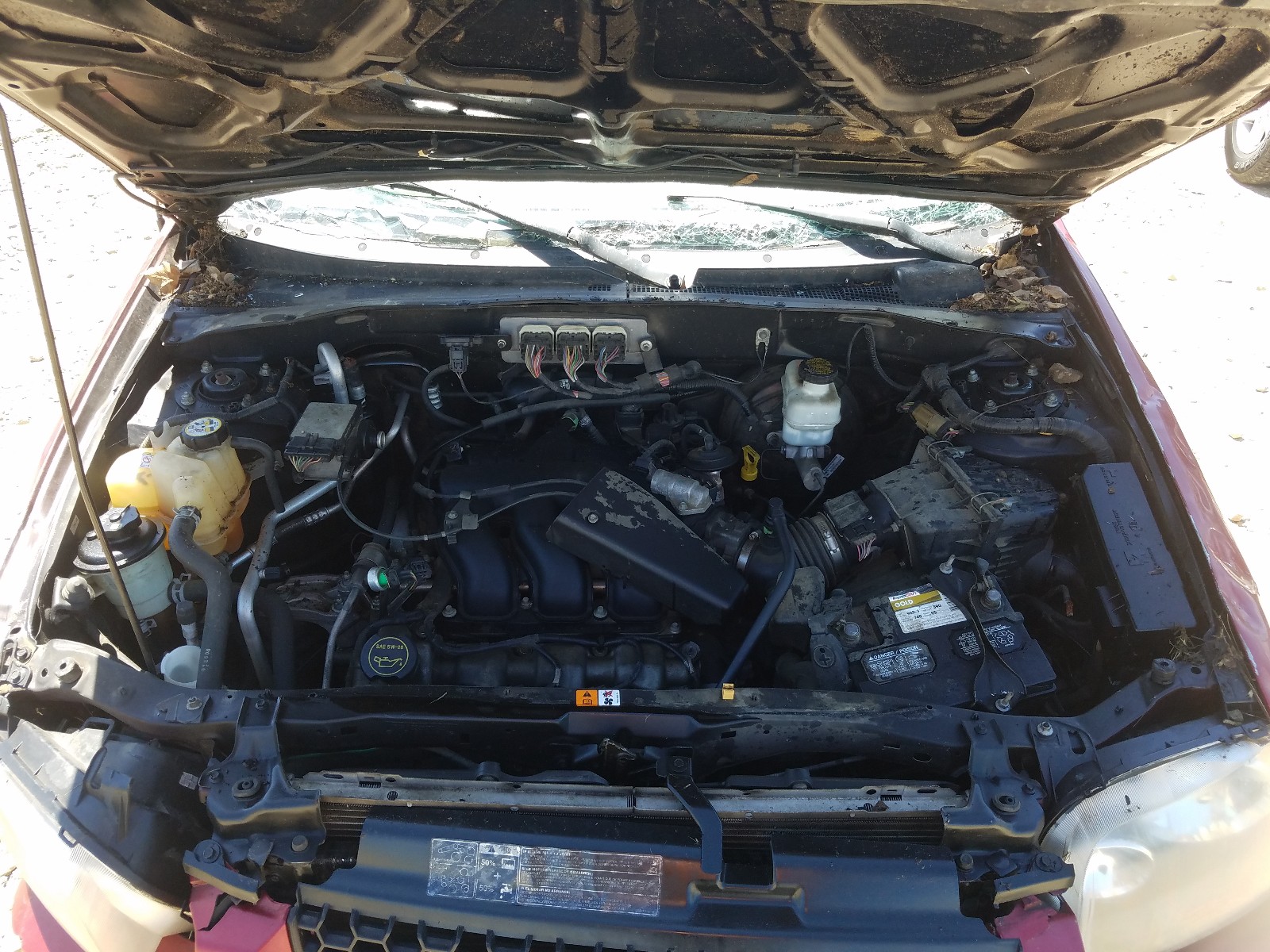 Photo 7 from auction – 2007 FORD ESCAPE LIM with VIN 1FMYU04107KA13223