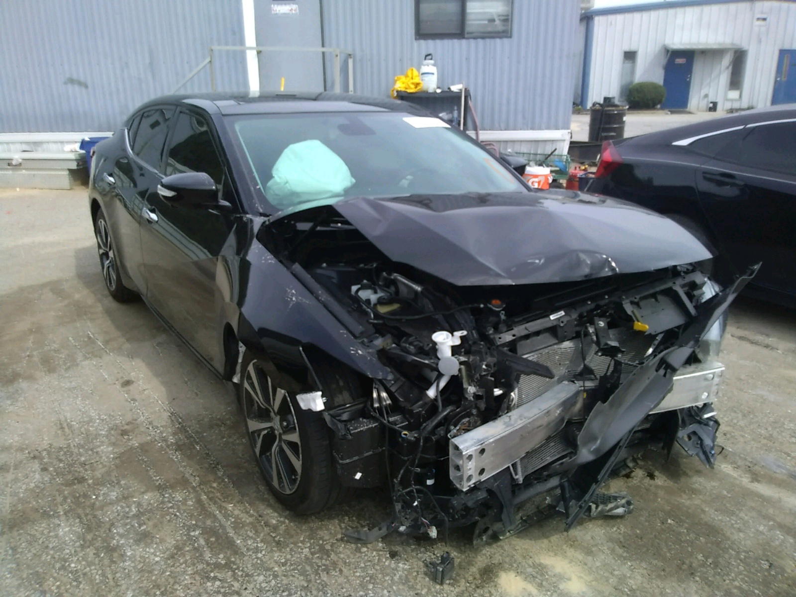 NISSAN MAXIMA 3.5 2017 with VIN 1N4AA6AP1HC440454 - Photo from auction
