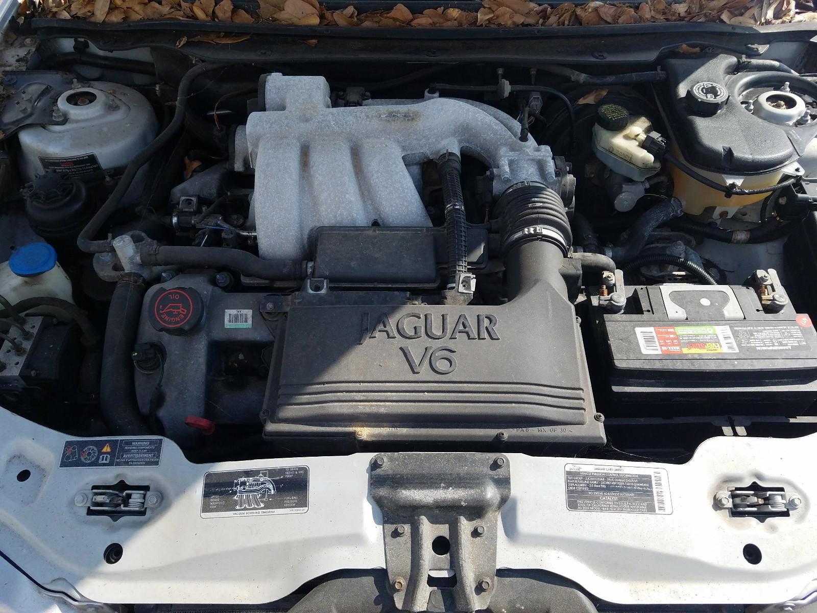 Photo 7 from auction – 2002 JAGUAR X-TYPE SPO with VIN SAJEA53D42XC47874