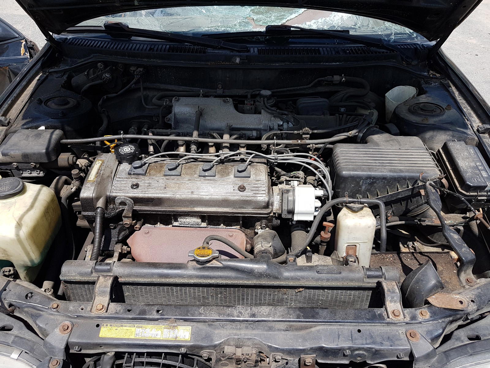 Photo 7 from auction – 1996 TOYOTA COROLLA DX with VIN 2T1BB02EXTC164930