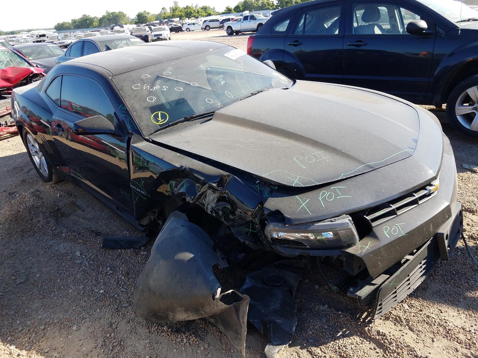CHEVROLET CAMARO LS 2014 with VIN 2G1FA1E33E9213546 - Photo from auction