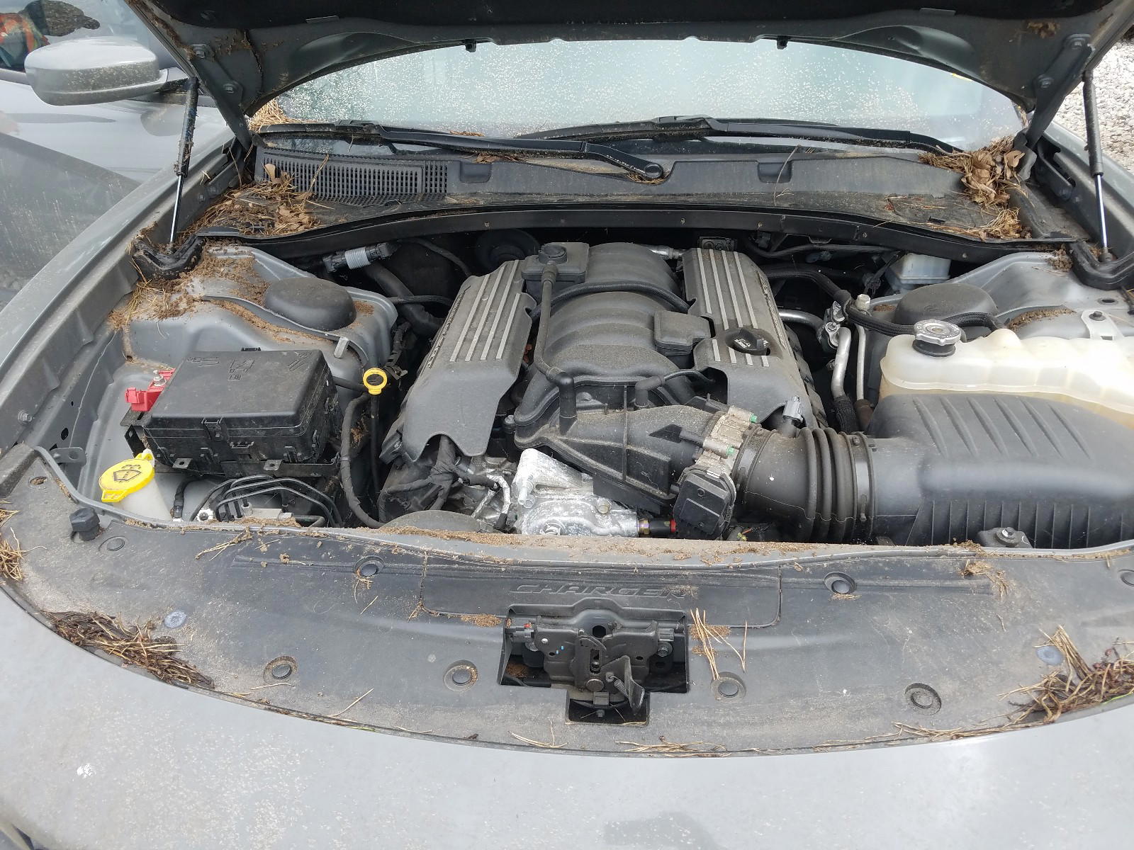 Photo 7 from auction – 2017 DODGE CHARGER R/ with VIN 2C3CDXGJ2HH515750