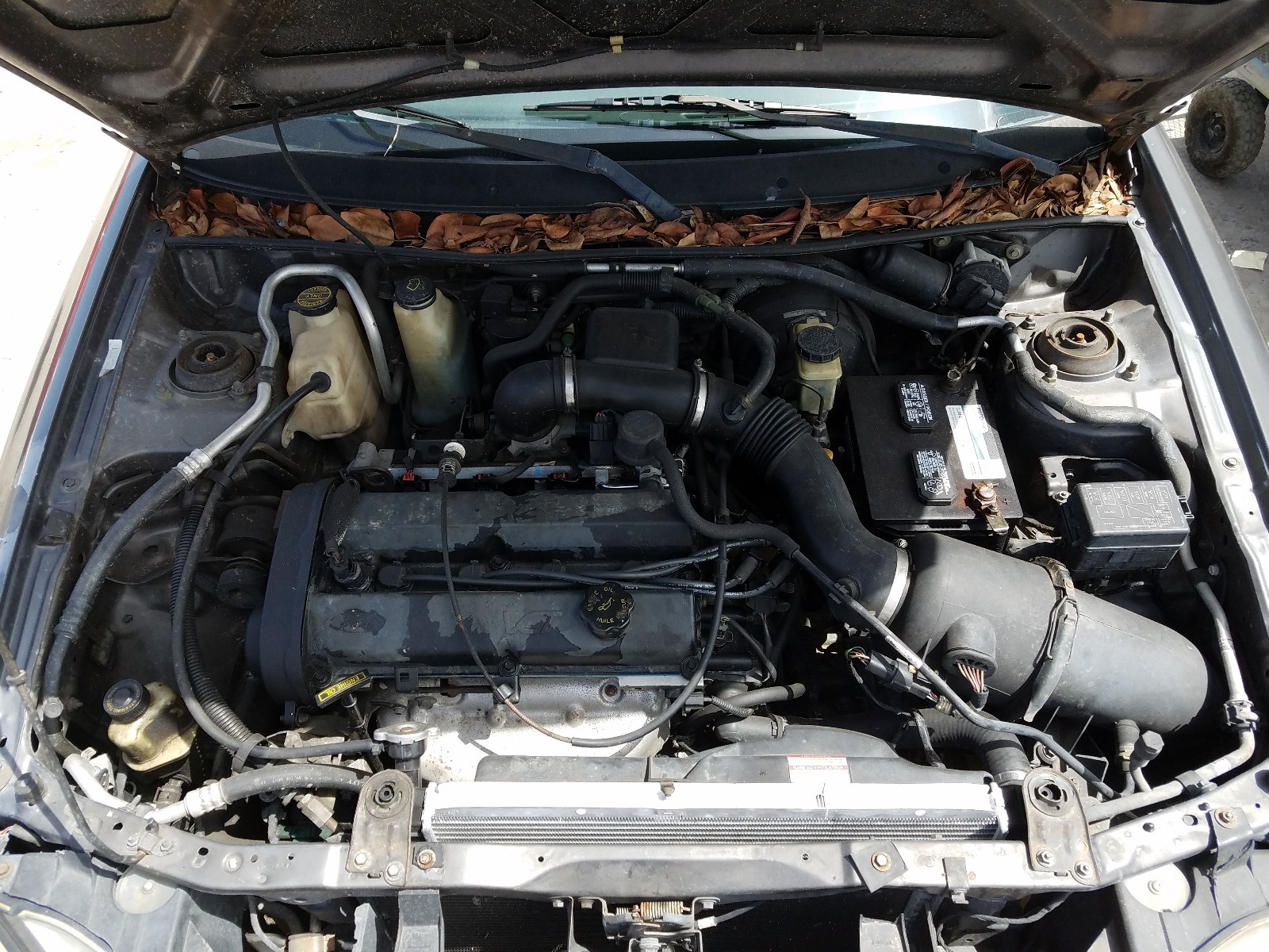 Photo 7 from auction – 2003 FORD ESCORT ZX2 with VIN 3FAFP11353R122402