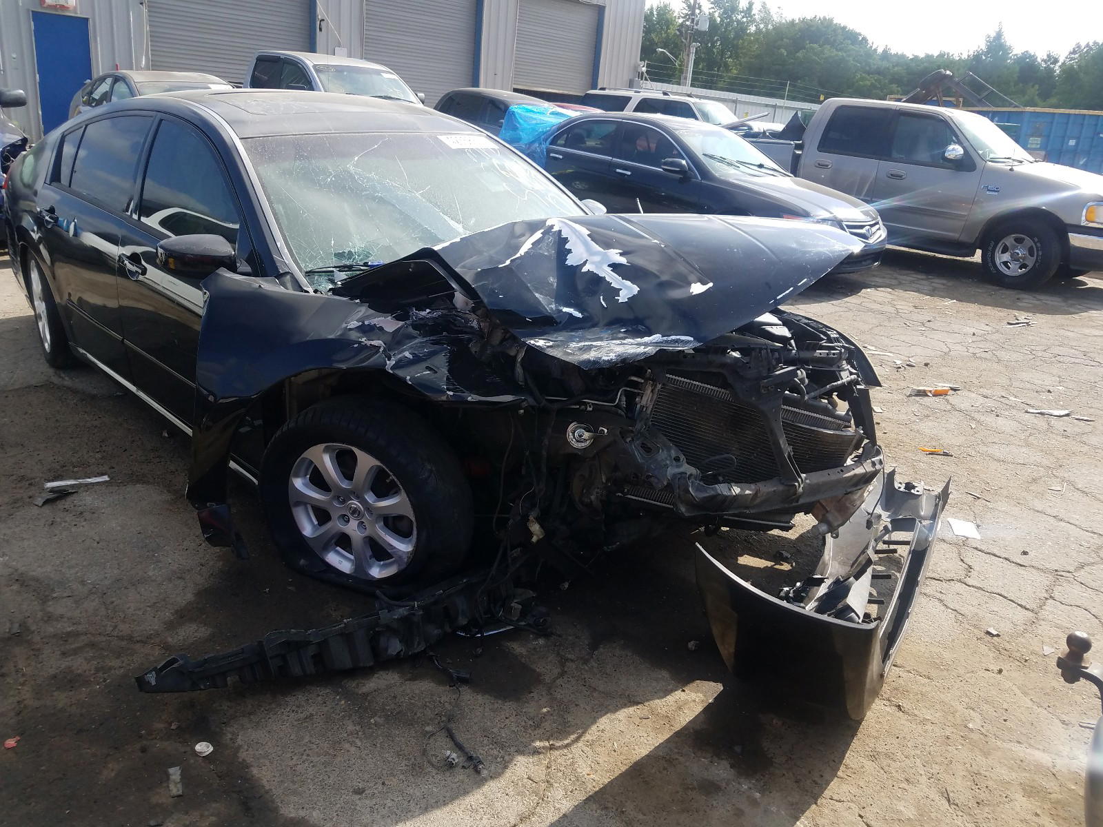 NISSAN MAXIMA SE 2008 with VIN 1N4BA41E98C828684 - Photo from auction