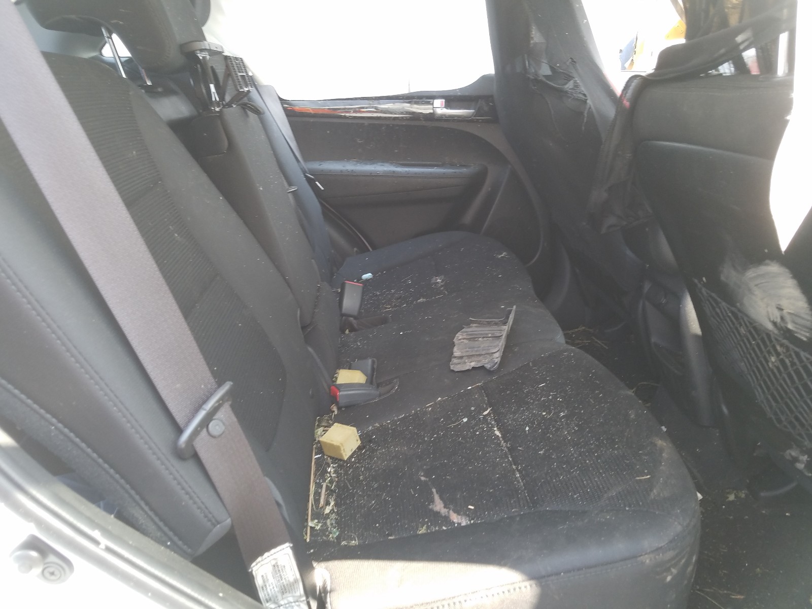 Photo 6 from auction – 2014 KIA SORENTO LX with VIN 5XYKTCA69EG549377