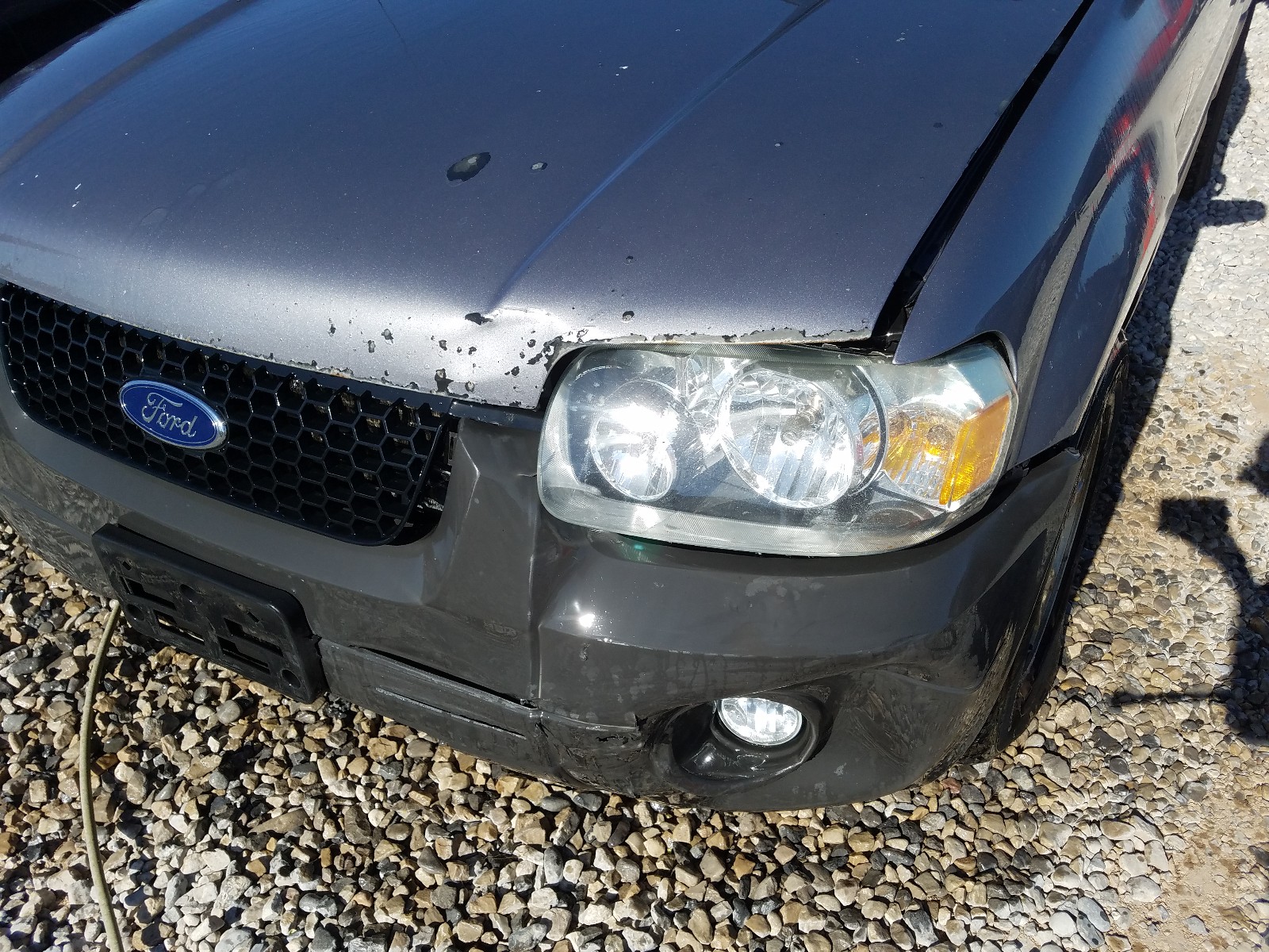 Photo 9 from auction – 2007 FORD ESCAPE XLT with VIN 1FMYU93107KC05960