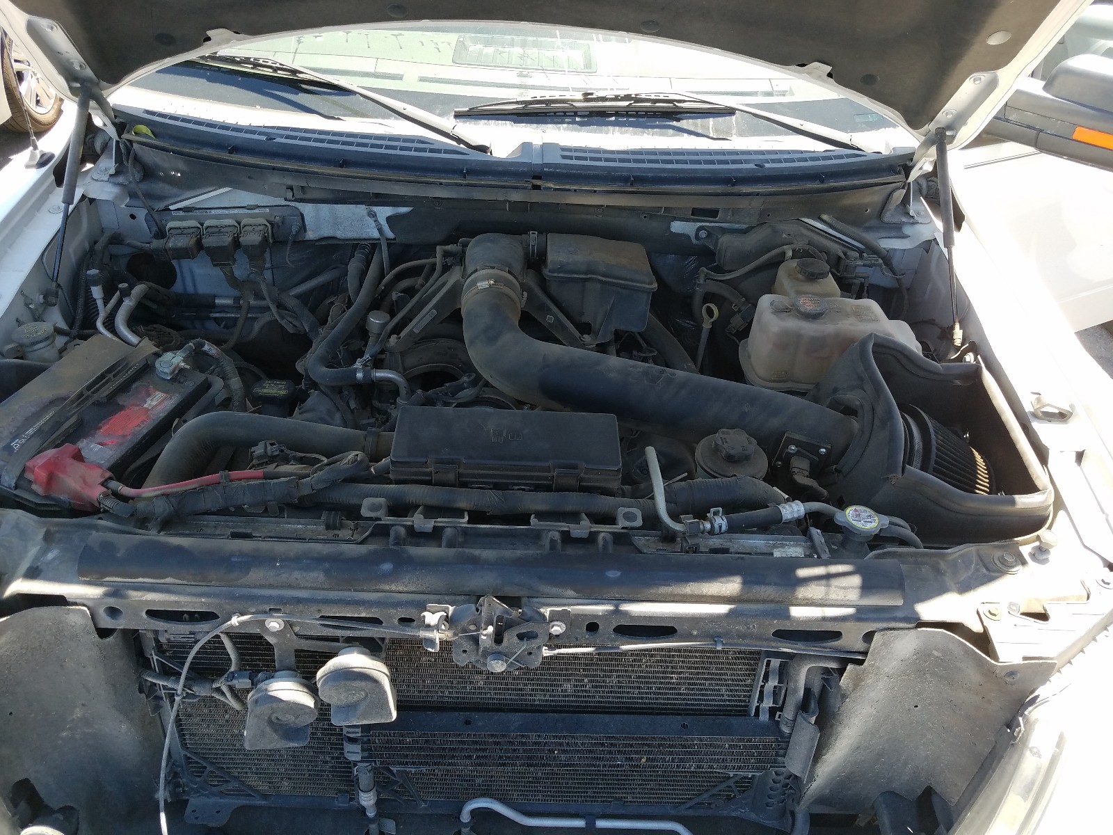 Photo 17 from auction – 2010 FORD F150 SUPER with VIN 1FTFW1EV7AFC95051