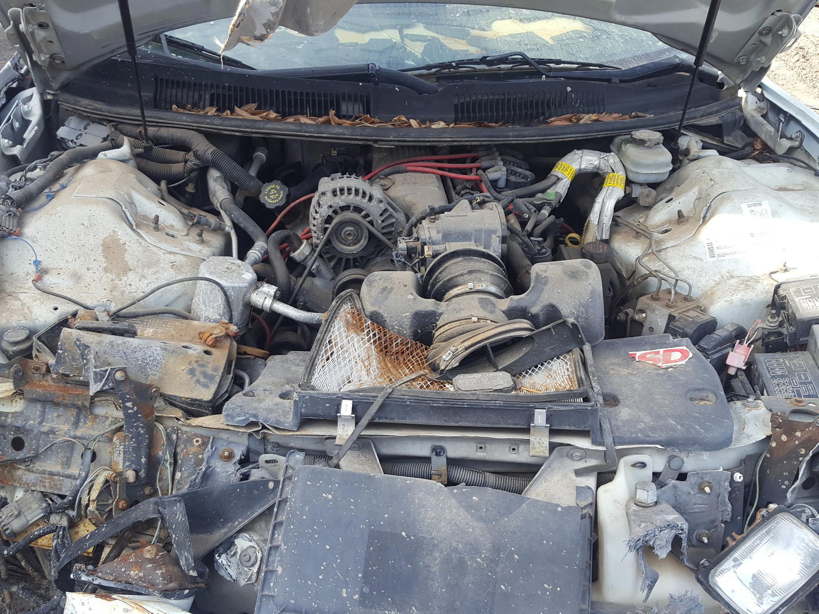 Photo 7 from auction – 2001 PONTIAC FIREBIRD with VIN 2G2FS22K212107005