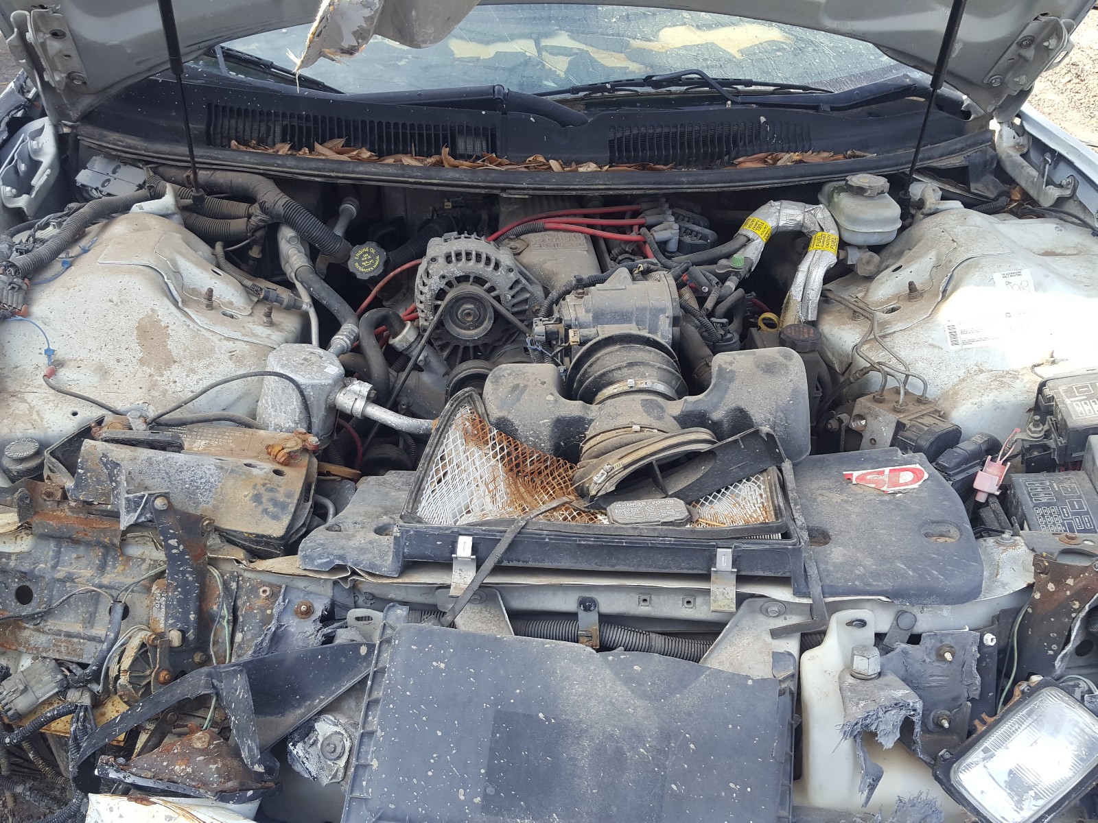 Фото 7 с аукциона – 2001 PONTIAC FIREBIRD с VIN 2G2FS22K212107005