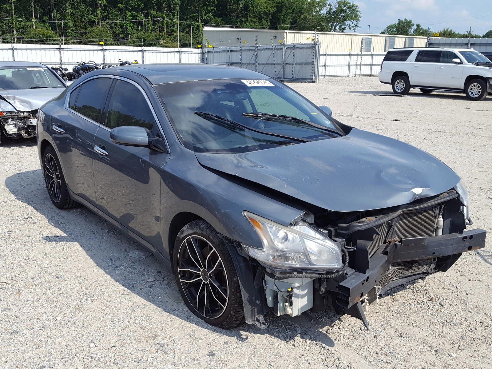 NISSAN MAXIMA S 2009 with VIN 1N4AA51E49C826148 - Photo from auction