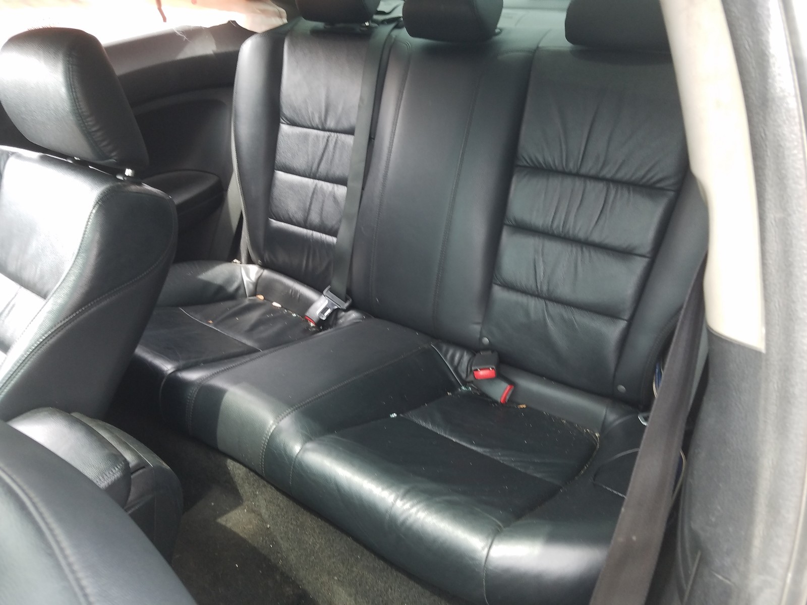 Photo 6 from auction – 2012 HONDA ACCORD EXL with VIN 1HGCS2B87CA009879