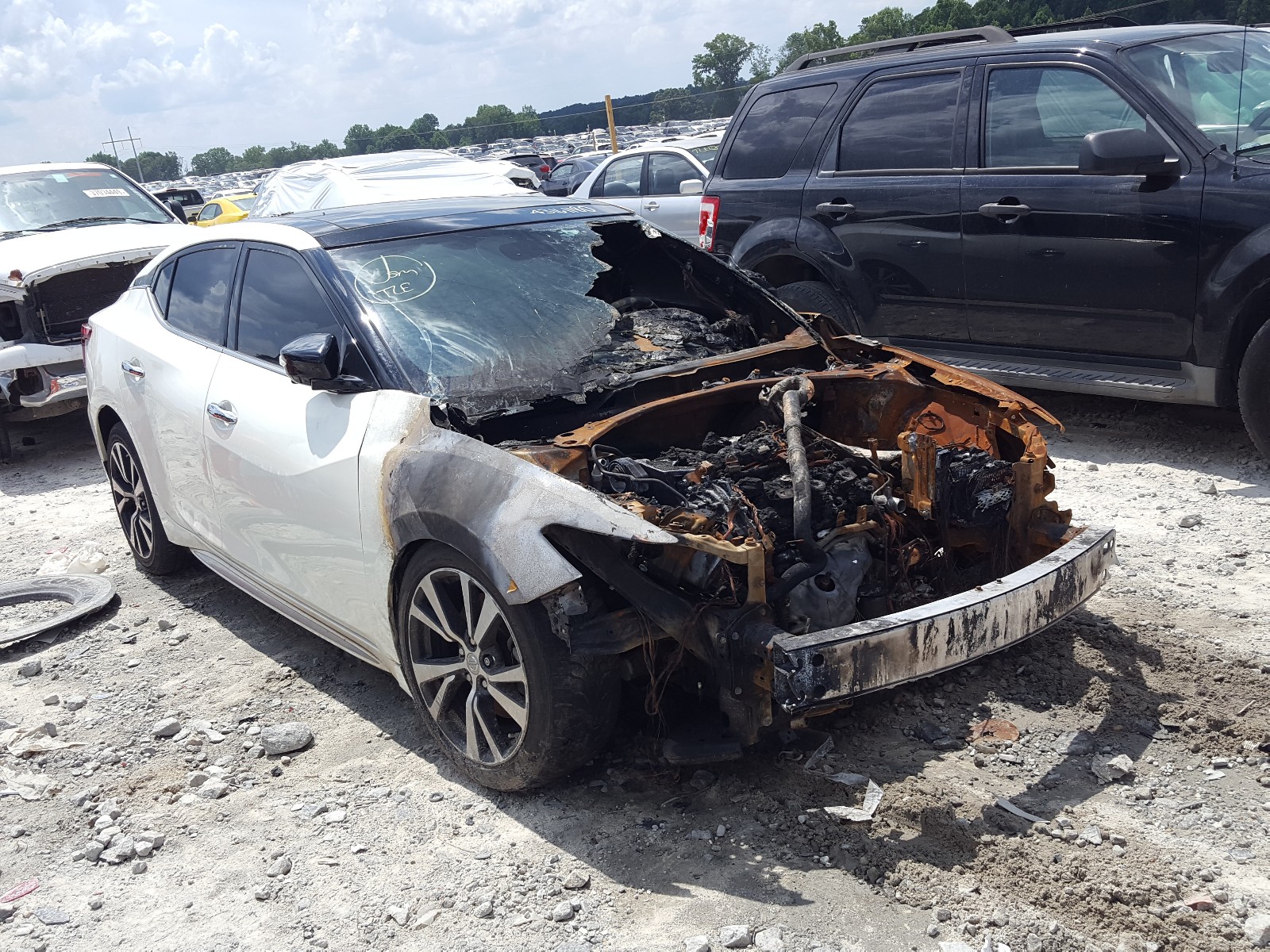 NISSAN MAXIMA 3.5 2017 with VIN 1N4AA6AP5HC391470 - Photo from auction