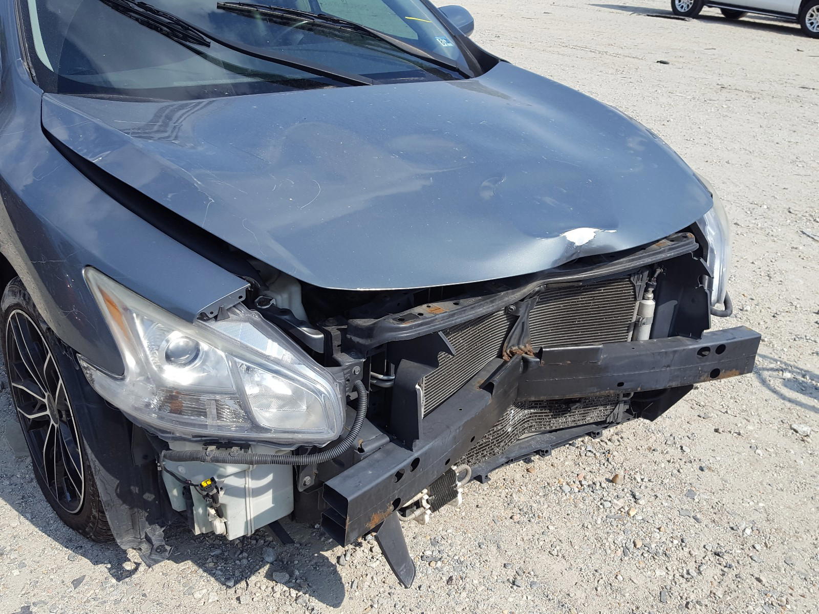 Photo 9 from auction – 2009 NISSAN MAXIMA S with VIN 1N4AA51E49C826148