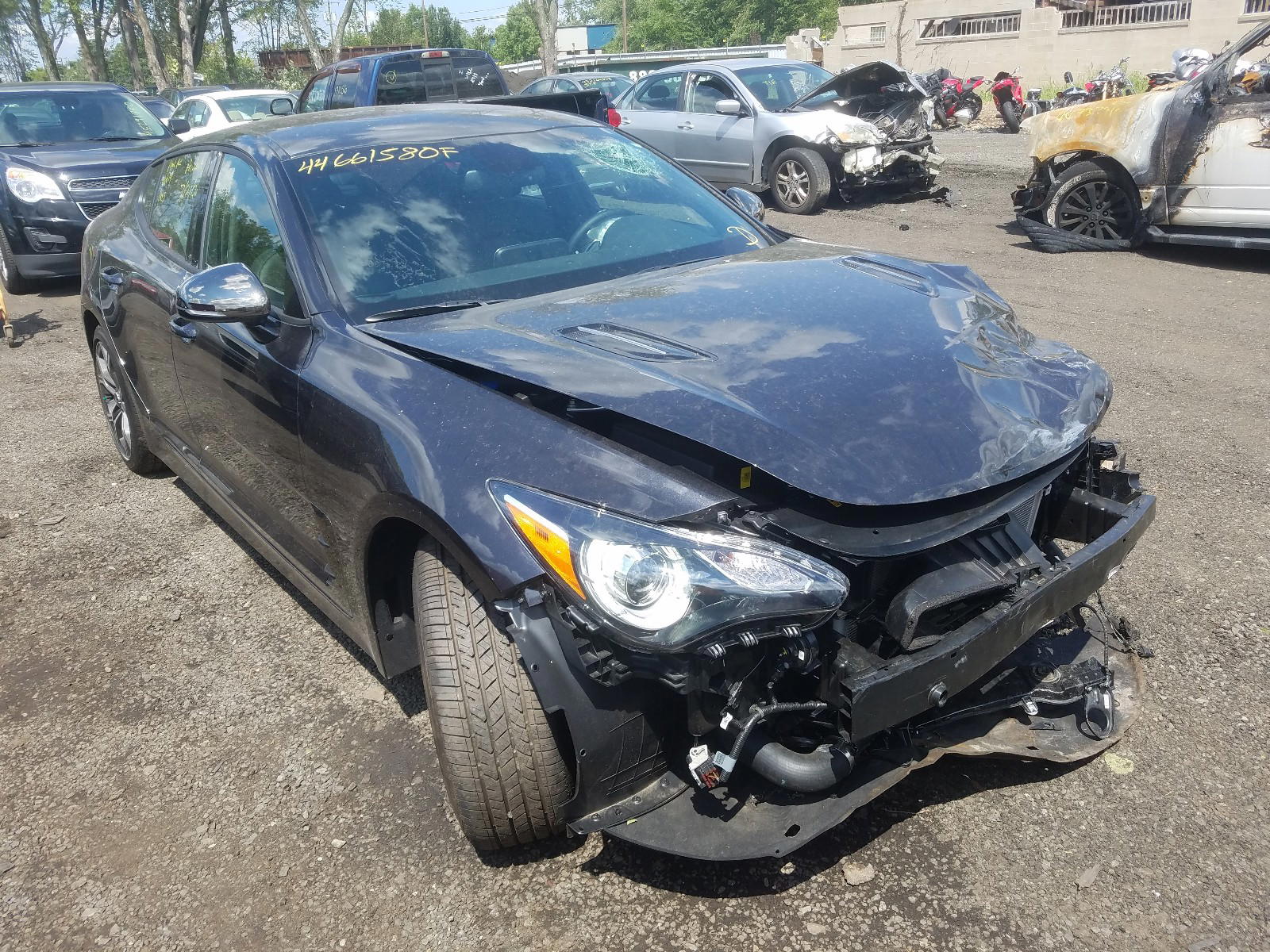 KIA STINGER 2020 with VIN KNAE15LA0L6080404 - Photo from auction