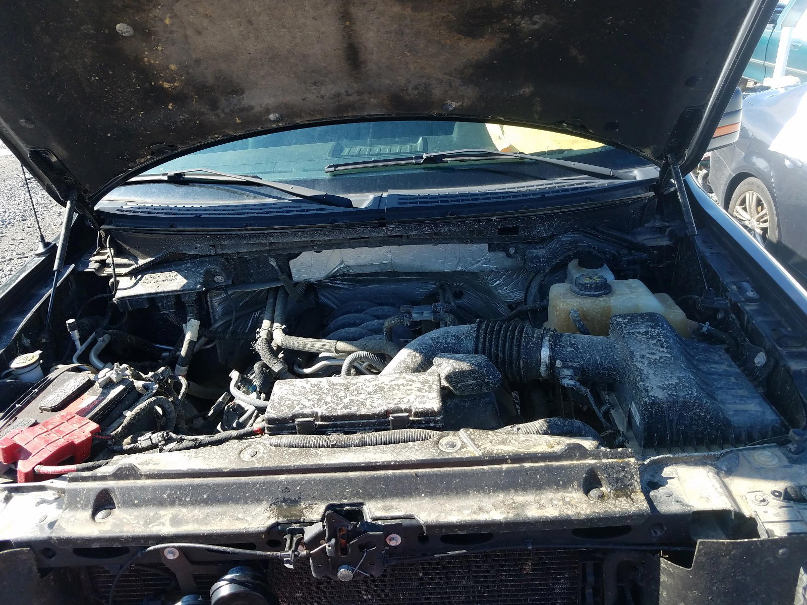 Photo 7 from auction – 2012 FORD F150 with VIN 1FTMF1EFXCFA98930